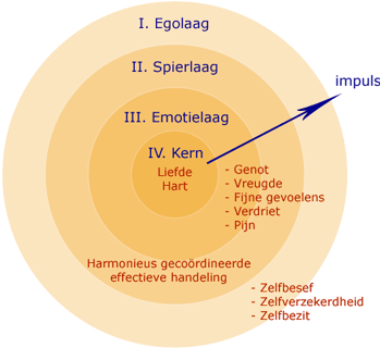 diagram-lagen-bewust